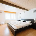 Charming Swiss Chalet Andermatt